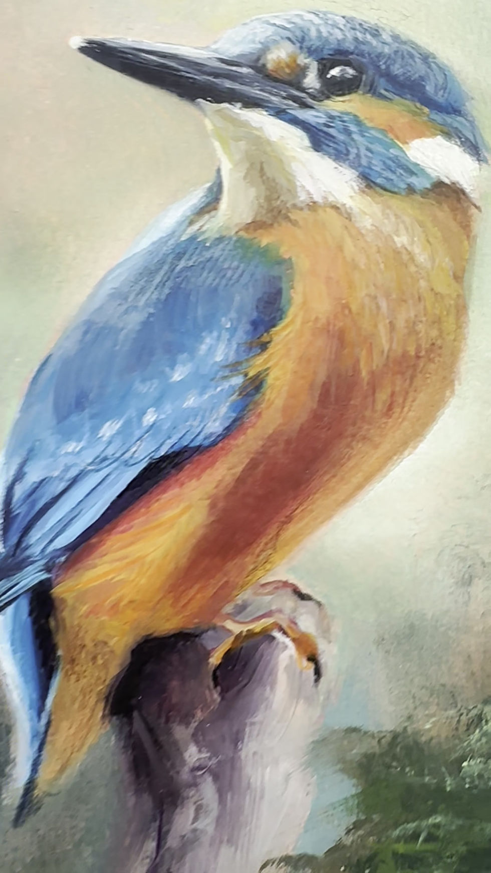 Thumbnail: Kingfisher Study (VIII)