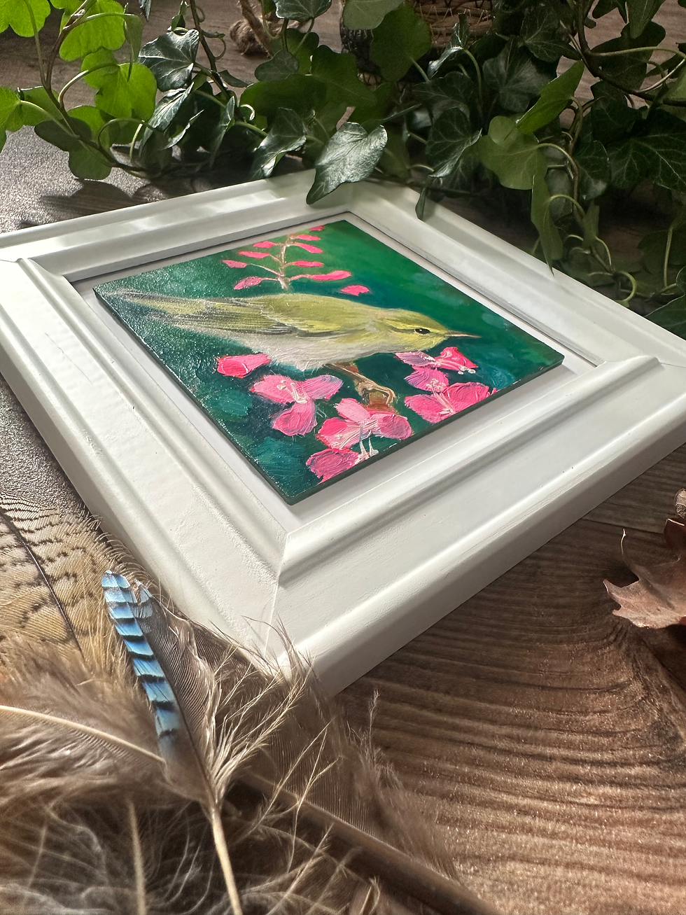 Thumbnail: Willow Warbler and WillowBay Herb - Day 29 of 30 British Garden Birds Collection