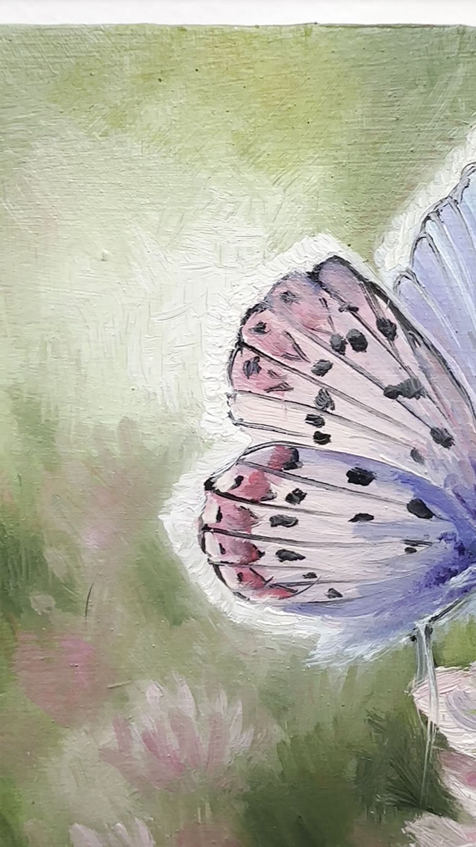 Thumbnail: Little Common Blue  - Day 9 - Original Art