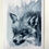 Thumbnail: Day 23 - 30 Foxes Collection