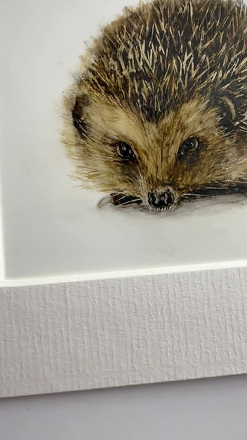 Thumbnail: Day 2 - Hedgehog Hedgehog - Original Art