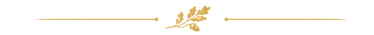 divider_02_oak_acorn.png