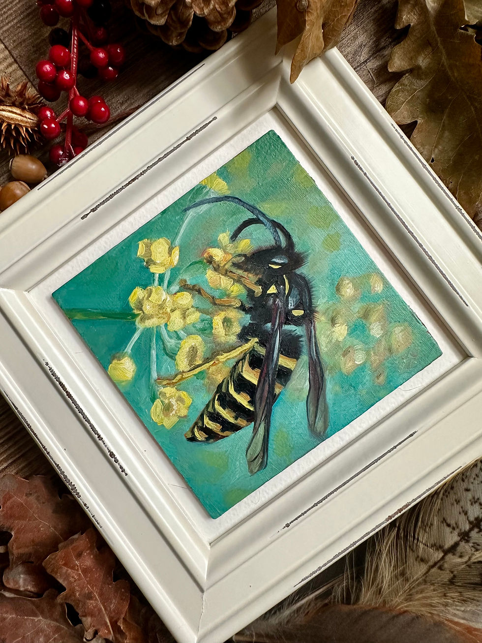 Thumbnail: Common Wasp - Day 17 of 30 Bugs and Butterflies Collection