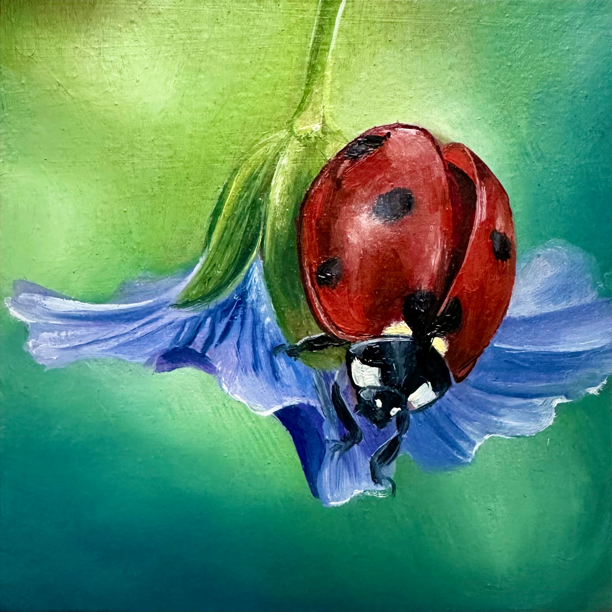 Greeting Card - Ladybird with Meadow Blue