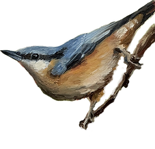 IMG_5593_edited.png