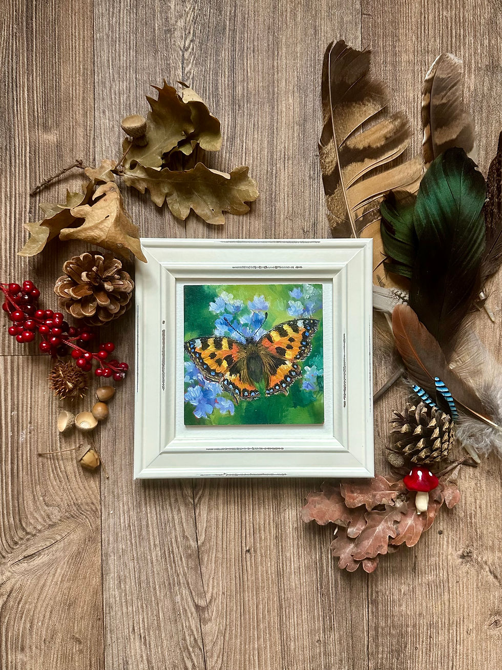 Thumbnail: Small Tortoiseshell - Day 8 of 30 Bugs and Butterflies Collection