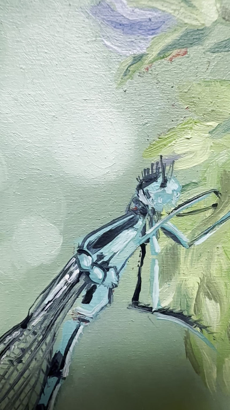 Thumbnail: Common Blue Damselfly - Day 19 of 30 Bugs and Butterflies Collection