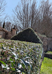 Taille triangle.jpg