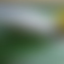 Buddies, Bosses and The One Pulling the Cosmic Strings of Life