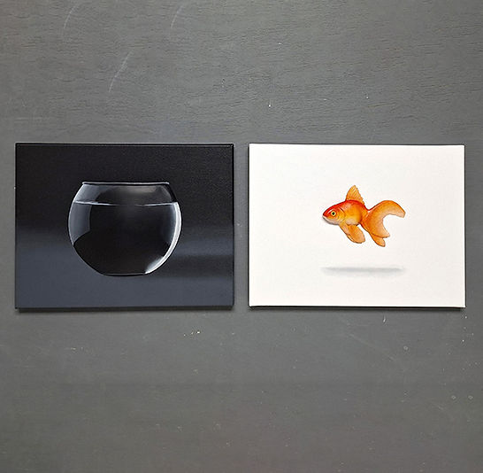 Uit je KomFortZone 3D