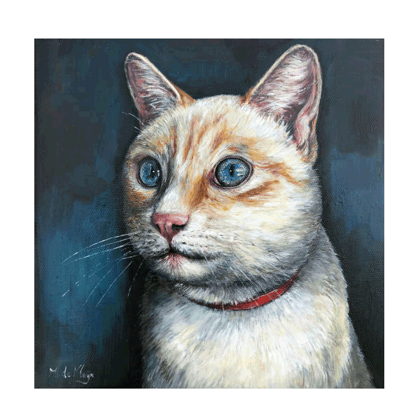 Blue eyes
