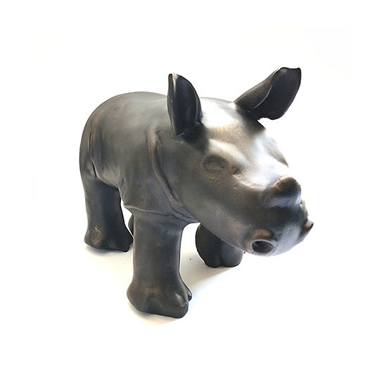 Baby Rhino