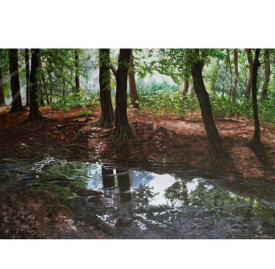 Na regen komt zonnenschijn