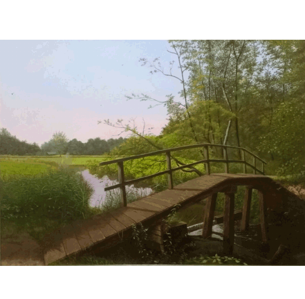 Het bruggetje in het Twickel
