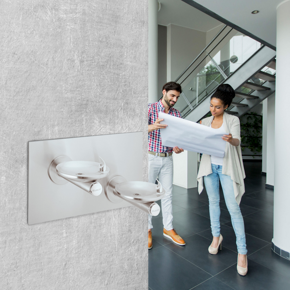 Elkay SwirlFlo Bi-Level Fountain Mechanical Bubbler with Backplate Non-Filtered