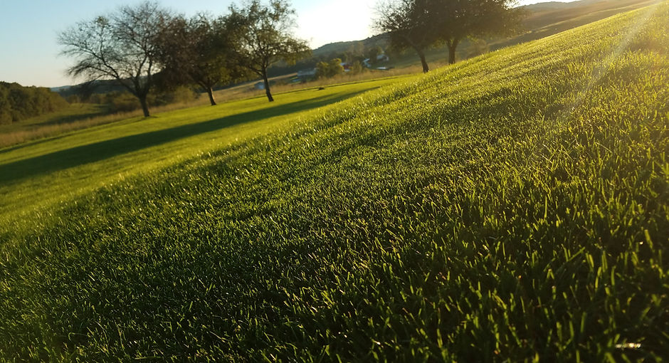 20180928_182850.jpg