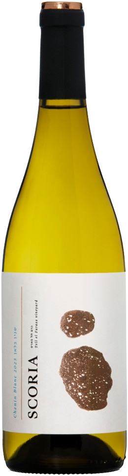 סקוריה שנין בלאן