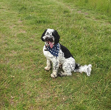 Jip%2520Bandana_edited_edited.jpg