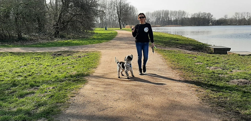 Marit en Ji[_edited.jpg