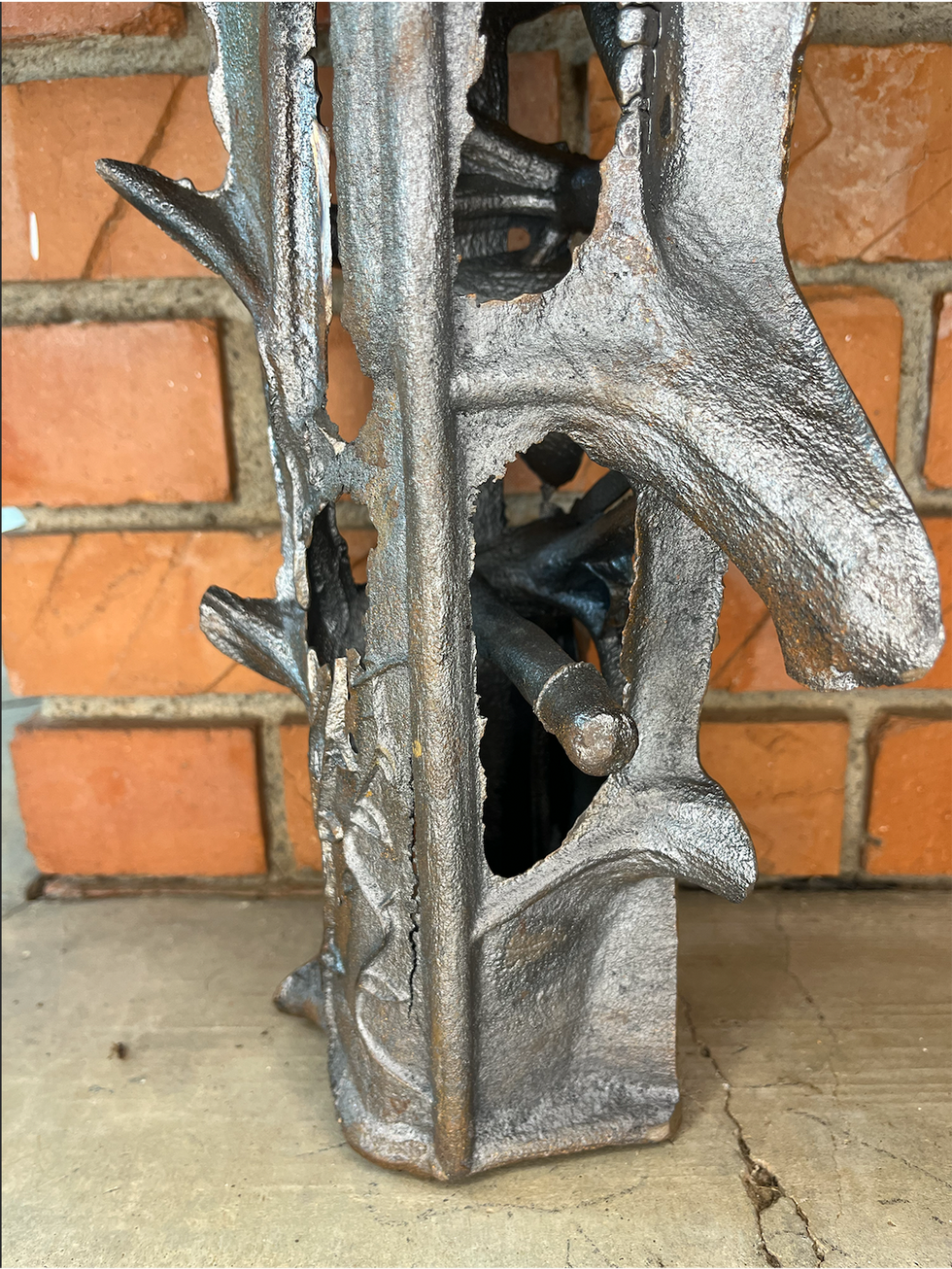 Farmer-GrowthinIron-6