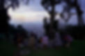 DSC08944.JPEG
