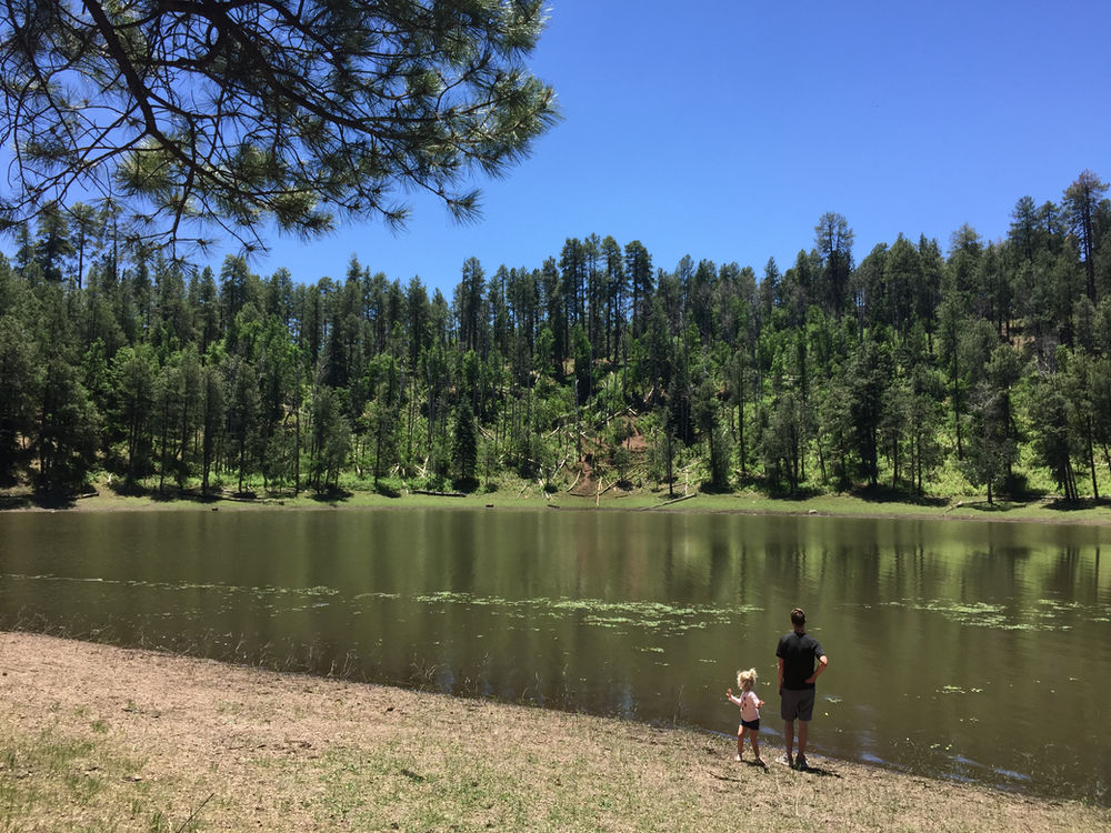 You Say Potato, I Say Potato Lake