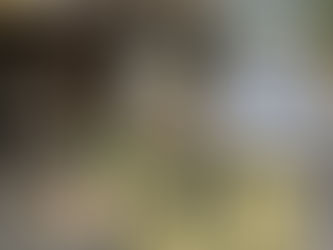 Local Favorite: The Honey Stand