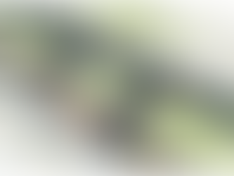 Reimagining the Phoenix Center Parking Deck