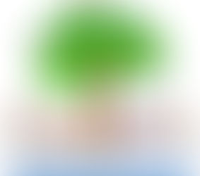 Phytoremediation: Helping the Earth Heal Itself