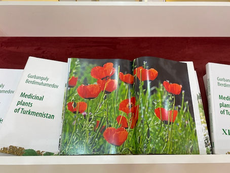 Oops... did we show that?