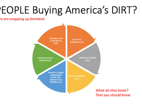 Why are Investors Buying US Farmland?