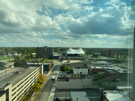 From my COVID ICU room... New Perspective