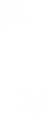 1231.png