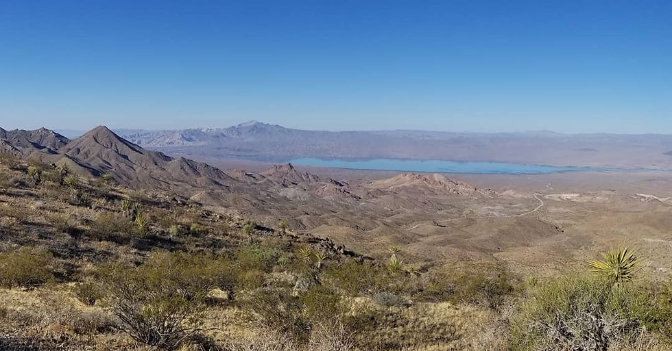 mojave.jpg