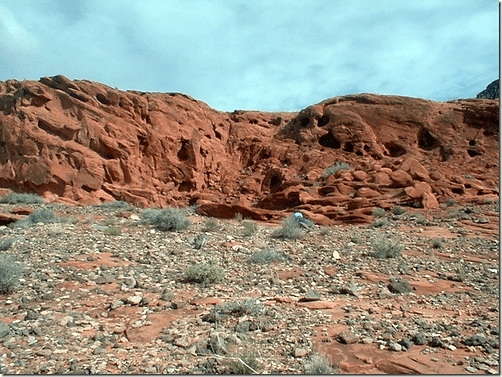 Untitled-1.gif