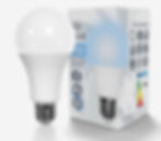 Led Light Bulb