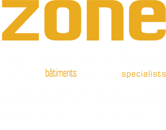 logo zone.png