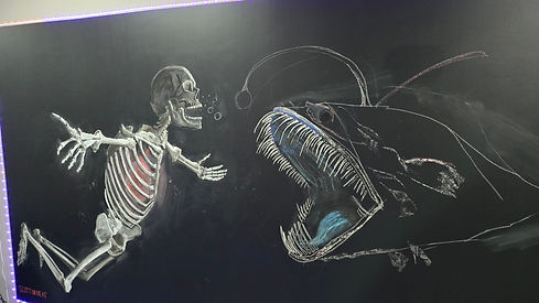 20250426_194627.jpg