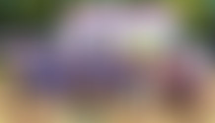 Operation Breakthrough Dragonboat Team wins Community Shield after 8-year drought at Hong Kong Police Charity Race