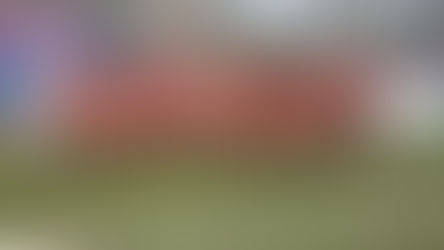 Rugby 7's week Update