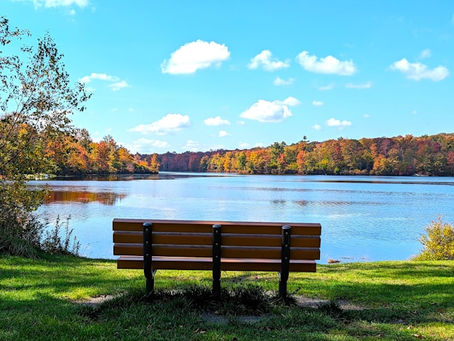 Die Bank am See
