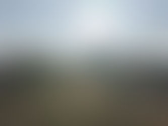 Having fun in the February sun!