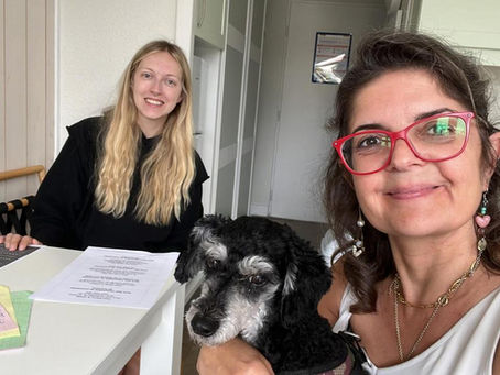 How many French lessons per week do you really need?