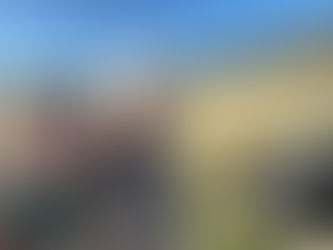 French for beginners: What to study in your first month