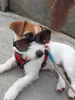 1edae158-e6f4-4787-96c0-716e689705fe