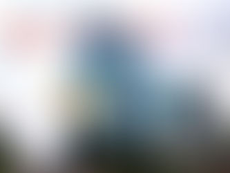 Komisi VI DPR RI Desak Penerapan Good Corporate Governance di BUMN