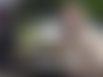 Menteri Pertanian: Penyakit Mulut dan Kuku Tidak Menular ke Manusia