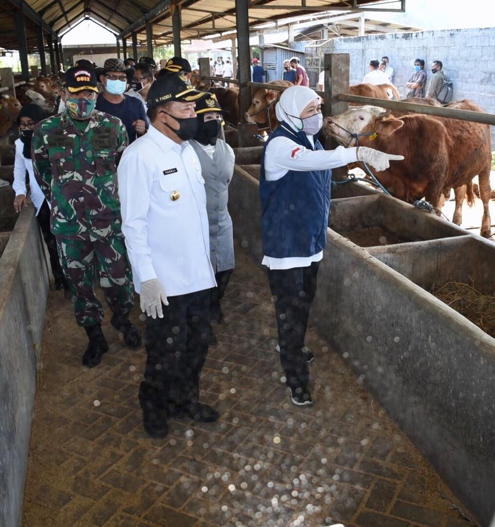 Pemprov Jatim menyiapkan 1.276 orang Juru Sembelih Halal guna menyambut Hari Raya Kurban tahun 2022 yang dilakukan bulan depan.