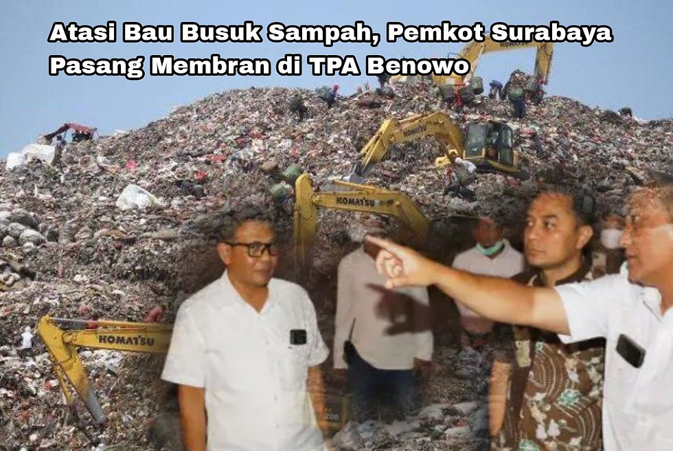Menurutnya, pohon bambu dipilih karena dirasa lebih kuat untuk menahan dan menghalau bau serta polusi udara dari TPA Benowo. Selain itu, tumbuhan akar serabut itu juga dapat tumbuh dengan baik di TPA Benowo. (Ilustrasi)