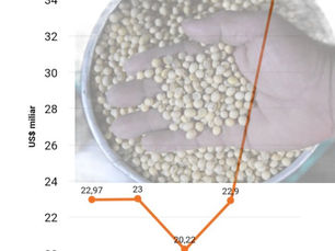 RI Setop Ekspor Berimbas Harga Minyak Kedelai Dunia Melonjak